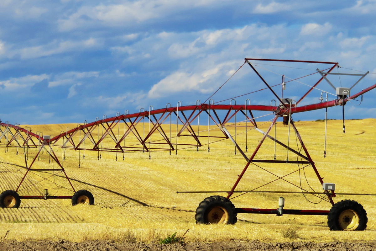 Uso eficiente del agua en el sector agrario - ONLINE